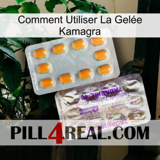 Comment Utiliser La Gelée Kamagra new12